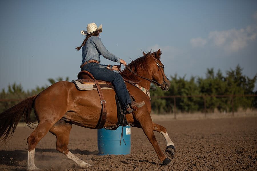Nutrition for Performance Horses: Diet Plans for Different Activities