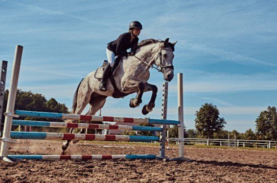 Jumping with Confidence: How to Overcome Your Fear of Horse Jumps