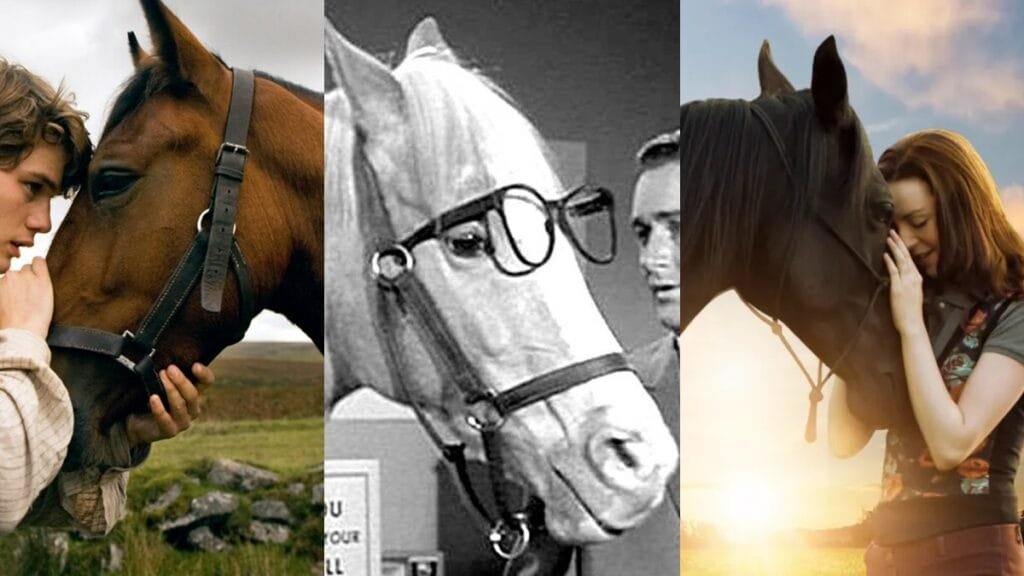 Hollywood: The Top 5 Legendary Stunt Horses in Film History