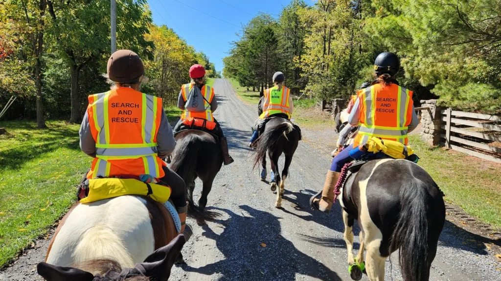 In What Ways Do Horses Contribute to Search and Rescue Teams?