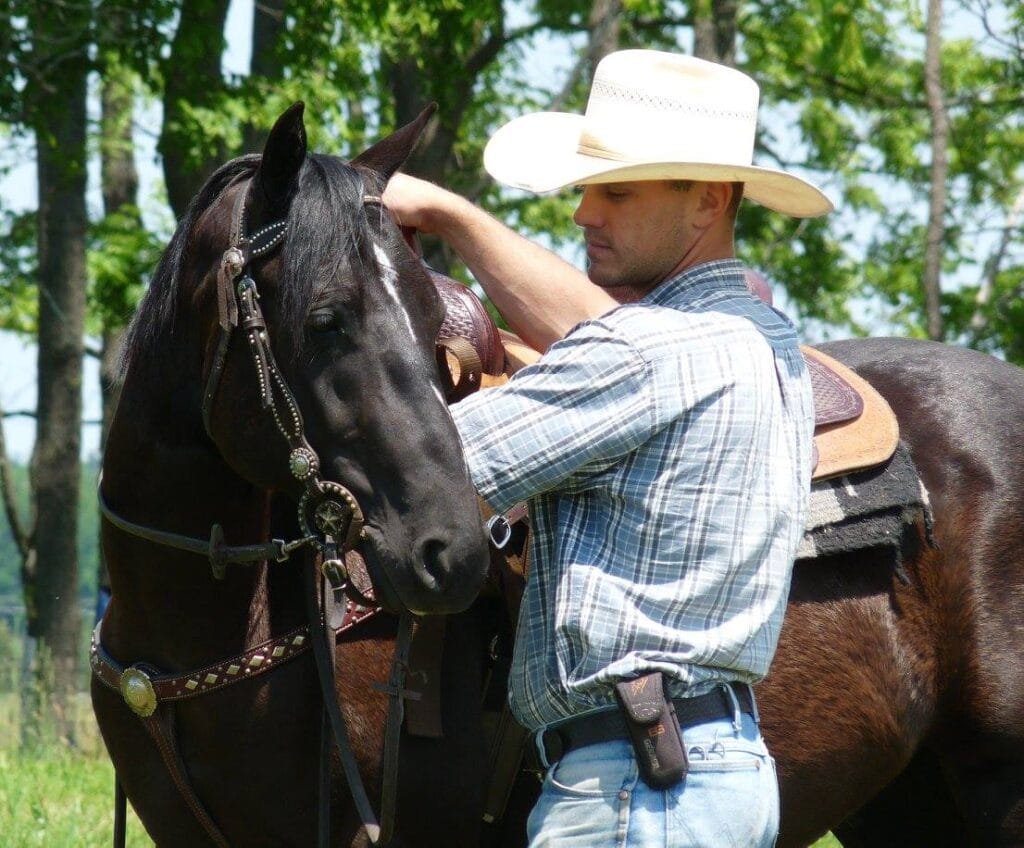How a Professional Horse Trainer Can Improve Your Horse’s Skills and Behavior