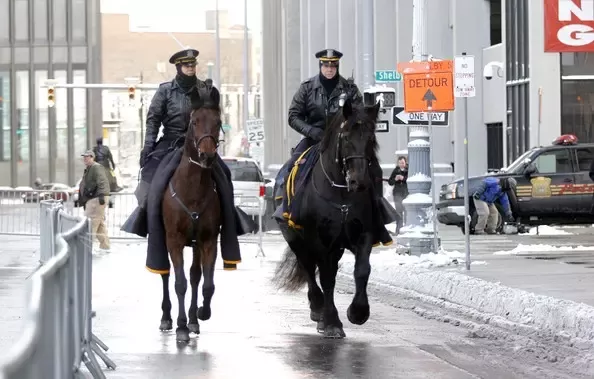Why Horses Still Matter in Modern Police and Military Forces