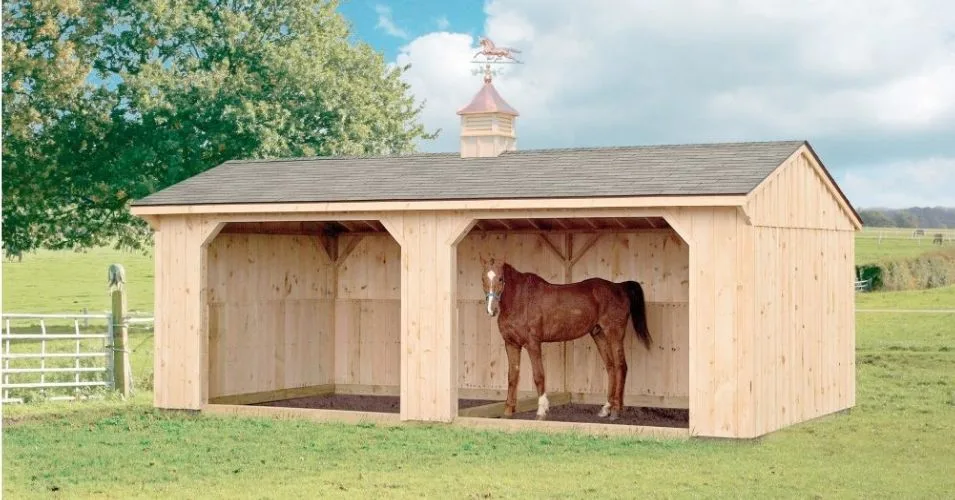How to Build a Horse-Friendly Shelter