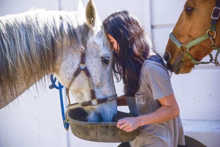 The Therapeutic Power of Horses: Physical, Emotional, and Mental Health Benefits