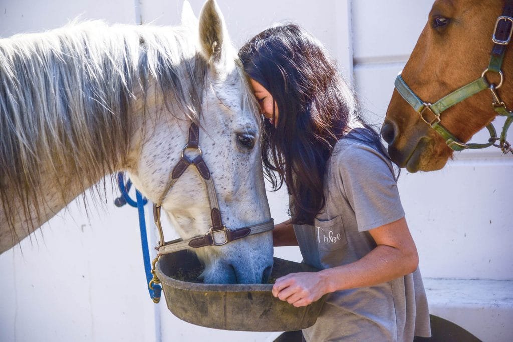 The Therapeutic Power of Horses: Physical, Emotional, and Mental Health Benefits