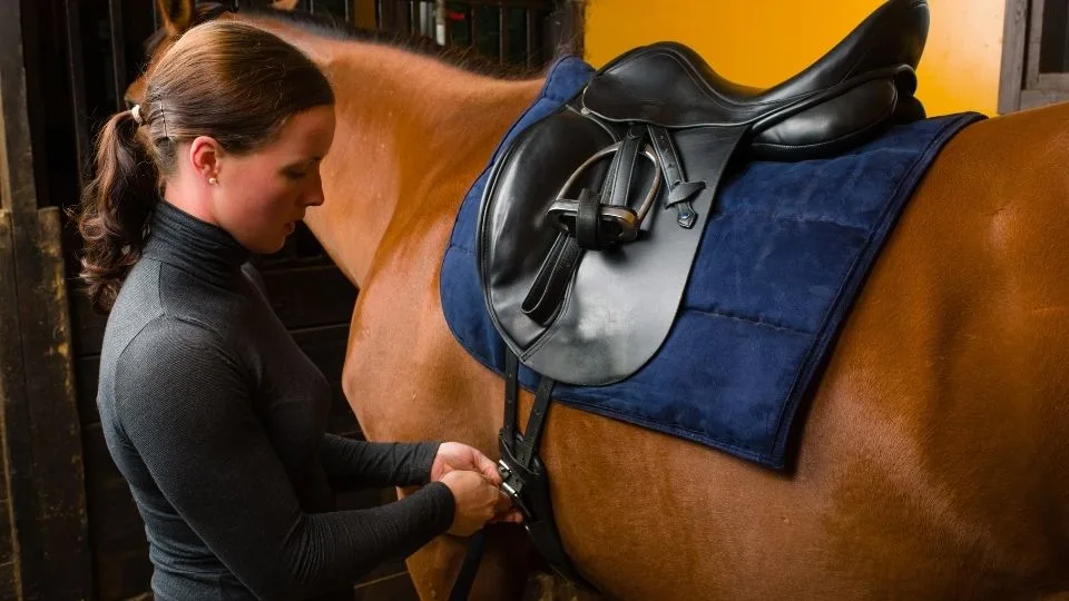How to Choose the Correct Western Saddle Seat Size for Comfort and Performance"