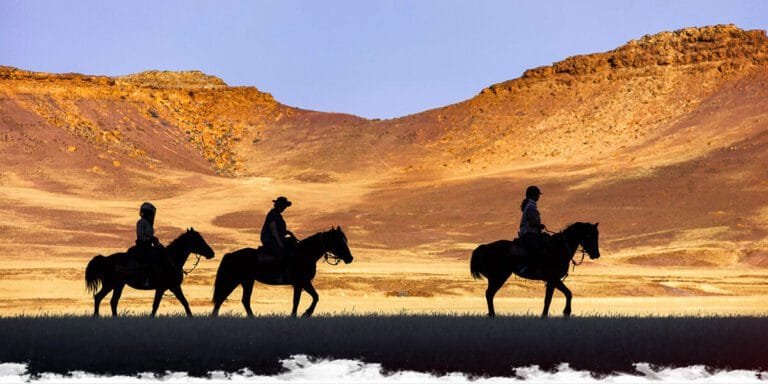 Traveling Abroad with Horses: Considerations and preparations.