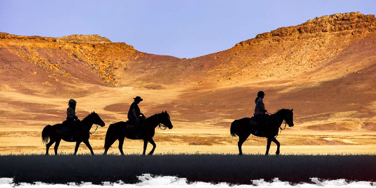 Traveling Abroad with Horses: Considerations and preparations.