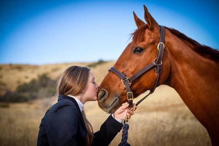 Adopting a Rescue Horse: The Process and Rewarding Experience