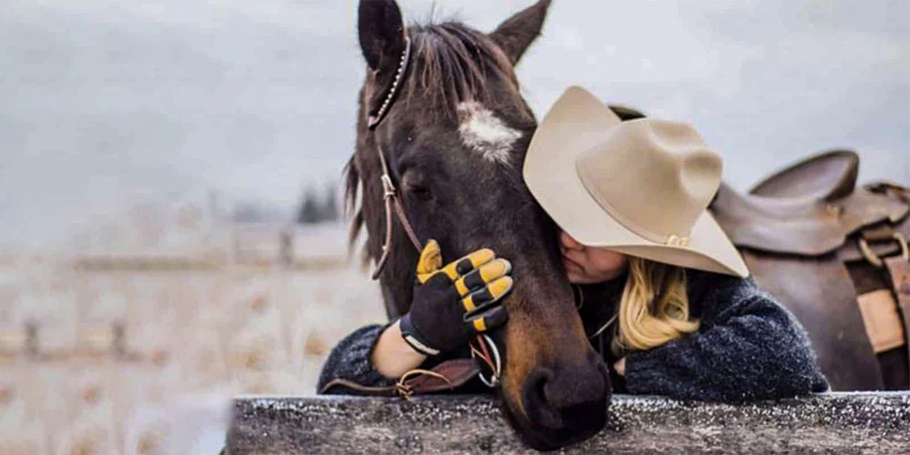 How Horses Communicate with Humans: Building Trust and Connection