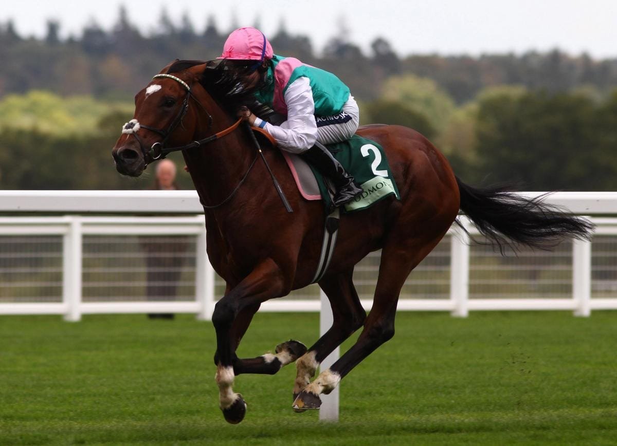 Top 5 Legendary Horses Who Dominated Races