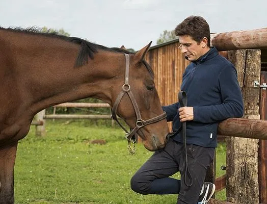 How to Be a Responsible Horse Owner