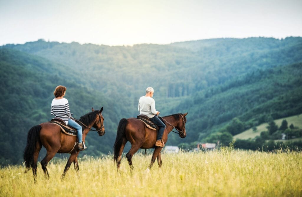 Top Equestrian Travel Destinations to Explore in 2025