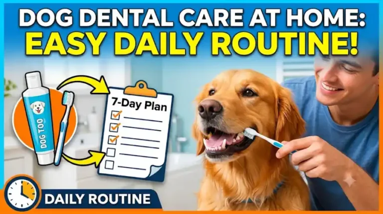 Dog Dental Care at Home